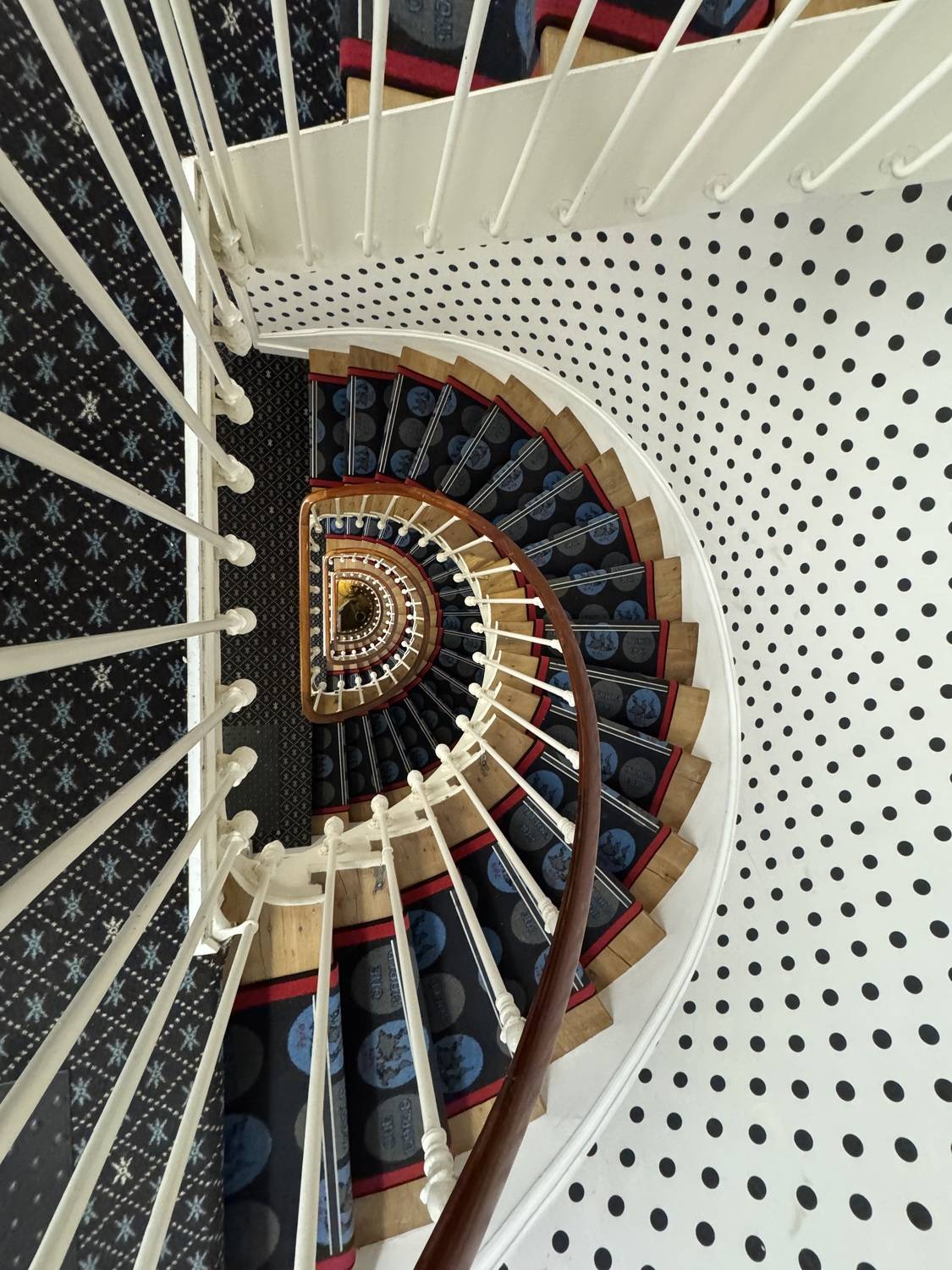 Фотография #13312683