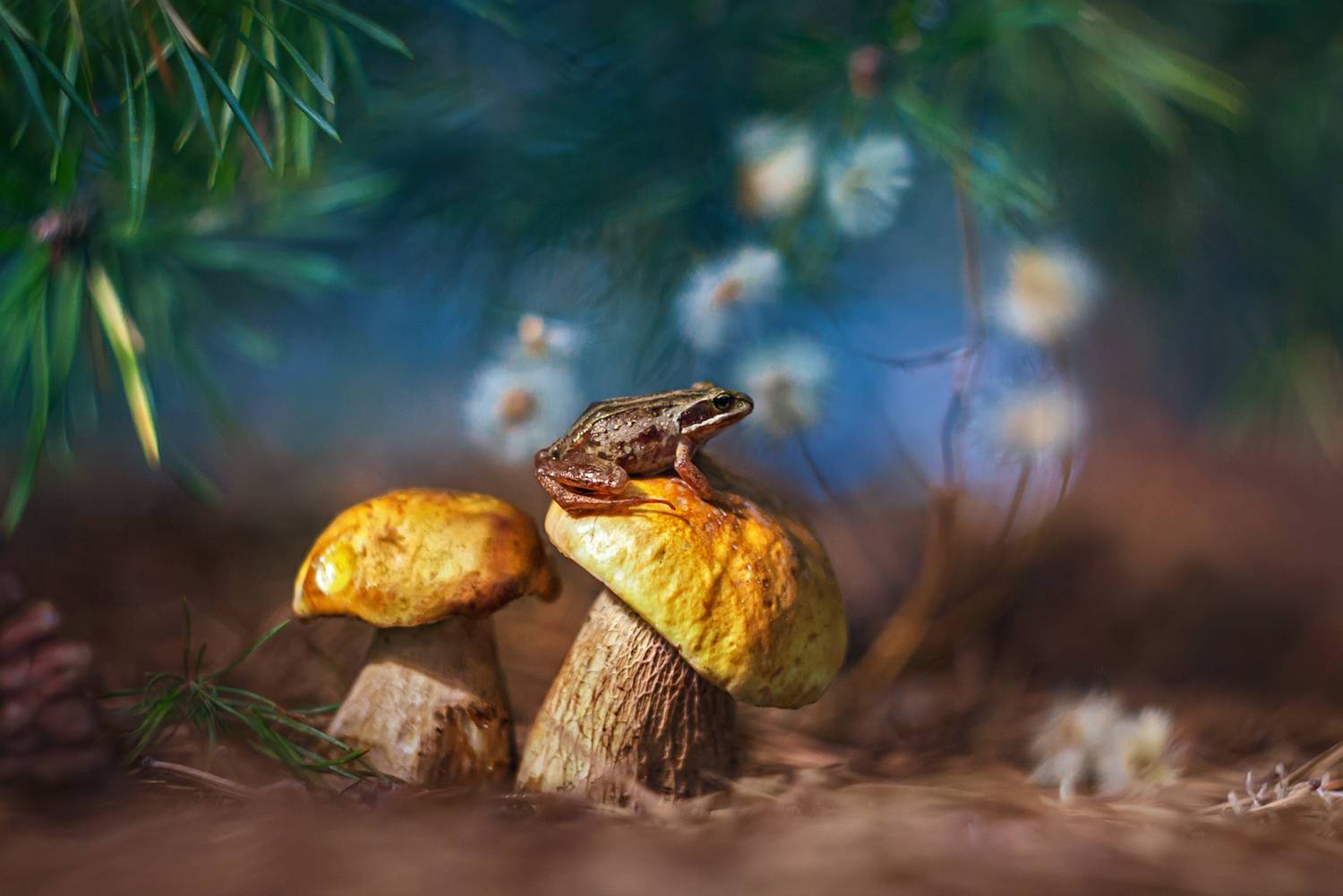 Фотография #13312696