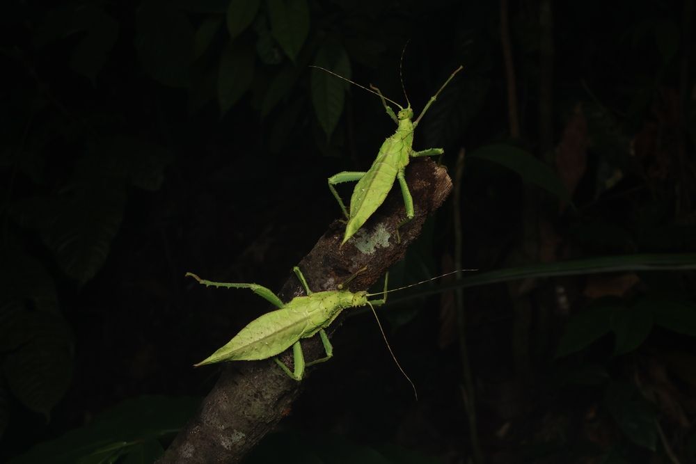 Mother Nature is calling