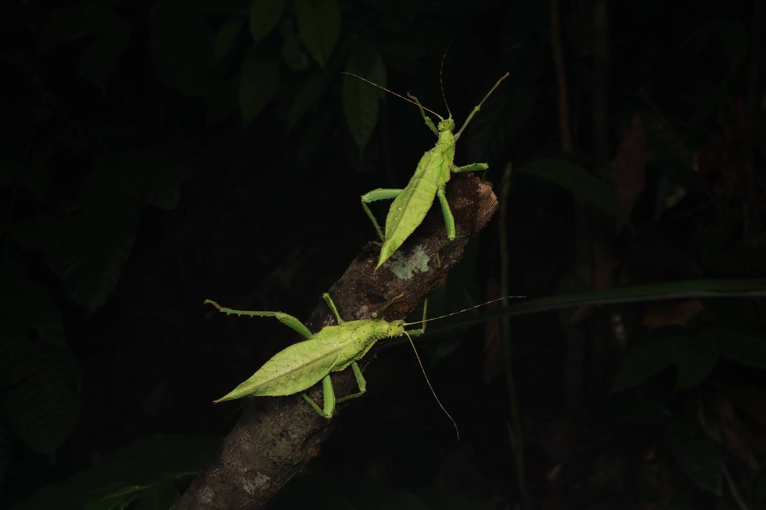 Mother Nature is calling Mother Nature is calling