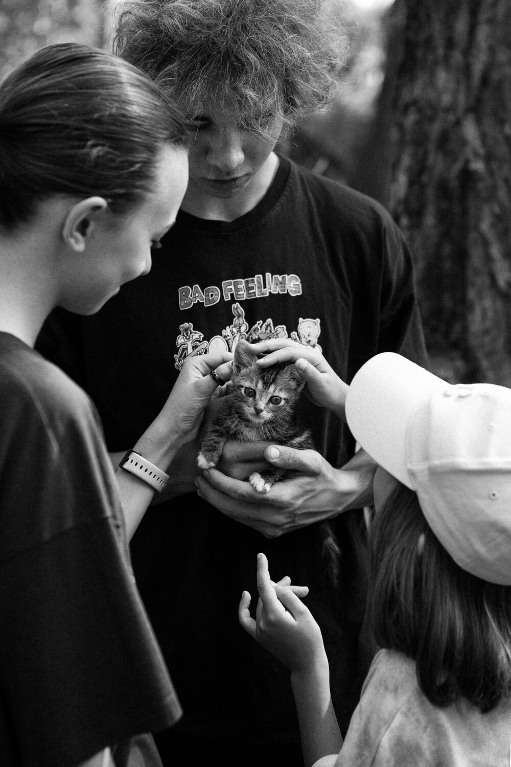 Photo #13312722