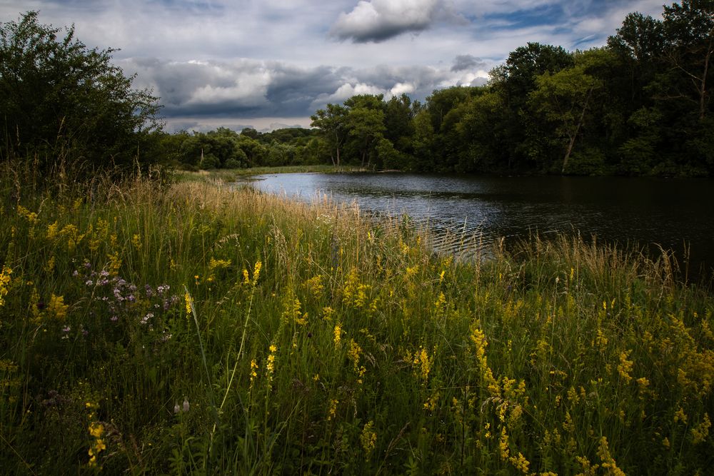 Photograph by Виктор Никоненко