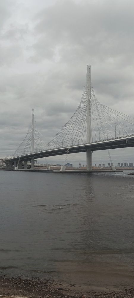 Мосты Санкт-Петербурга