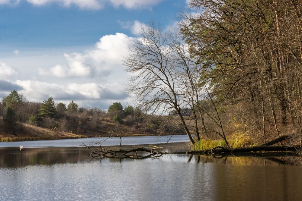 Photograph by Виктор Никоненко