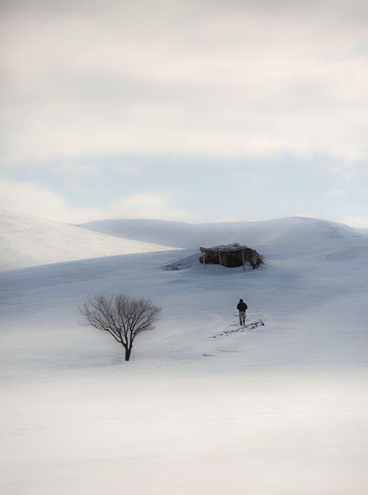 Photograph by aliasadi