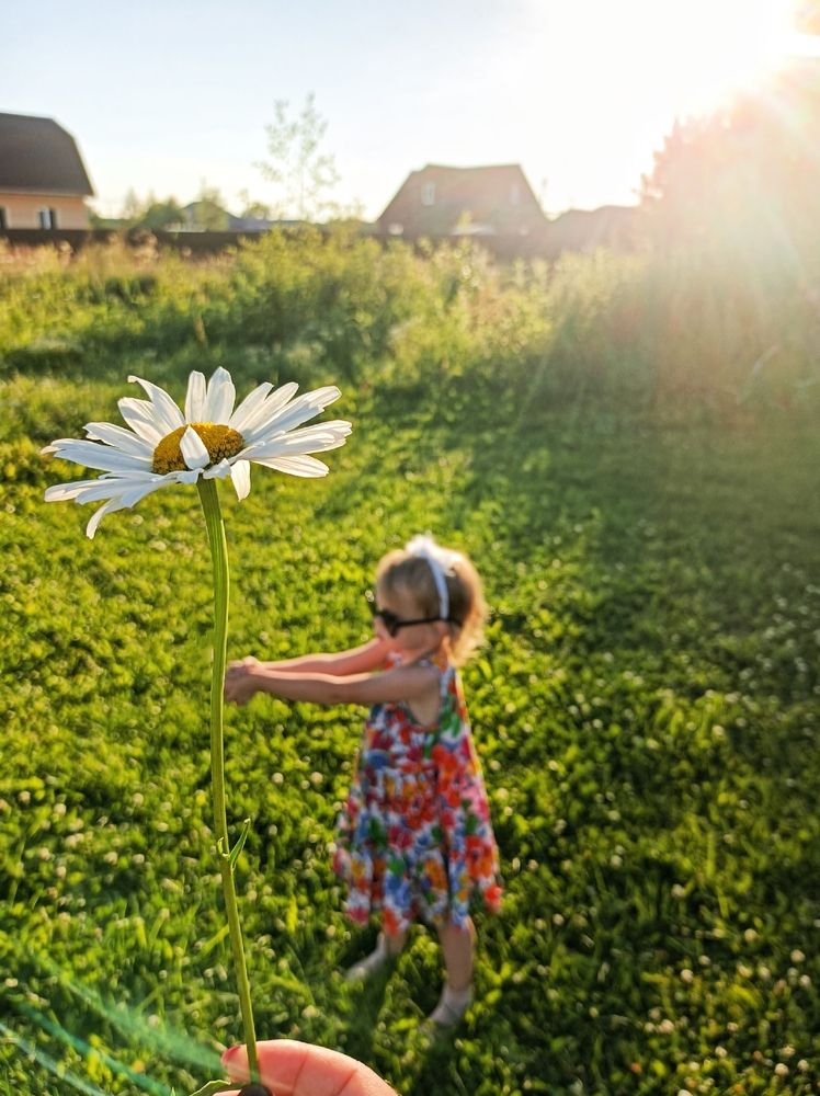 Photograph by Анна Захарчук