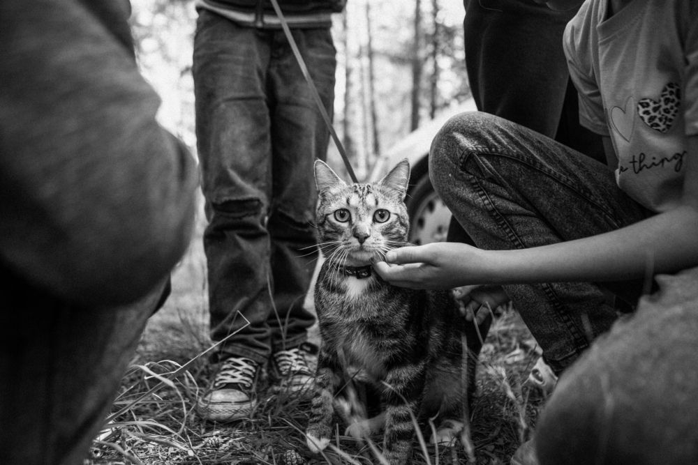 Photograph by Никита Львов