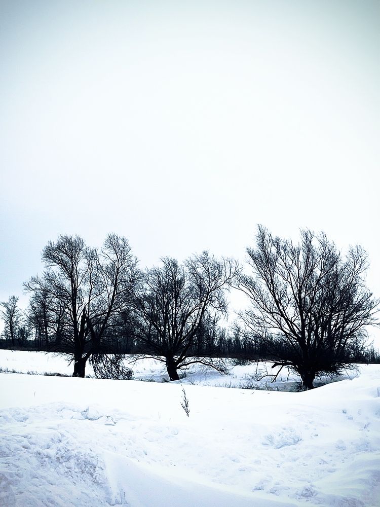 Photograph by Динара
