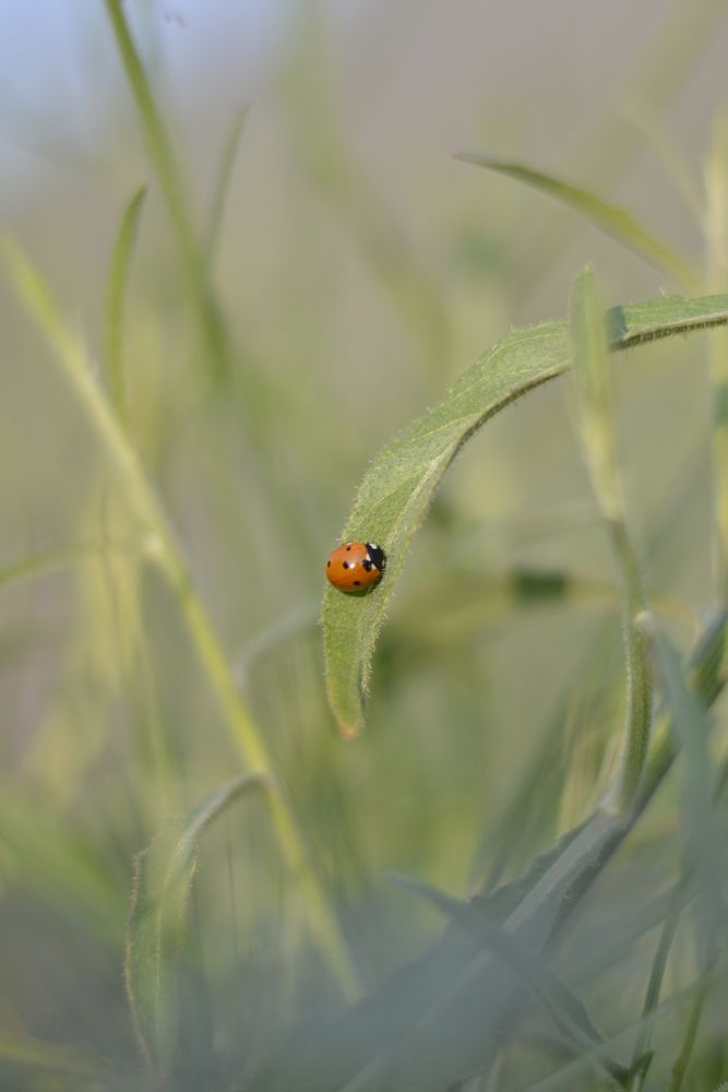 Photograph by ali bakhshi
