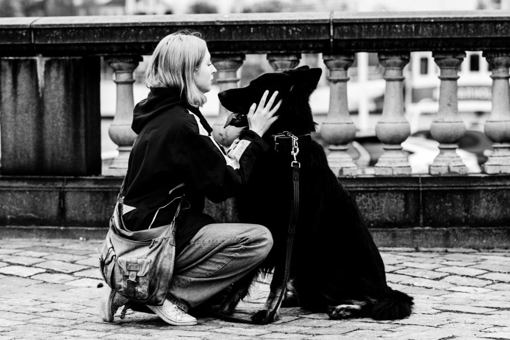 Фотография автора Ruslan Badykov