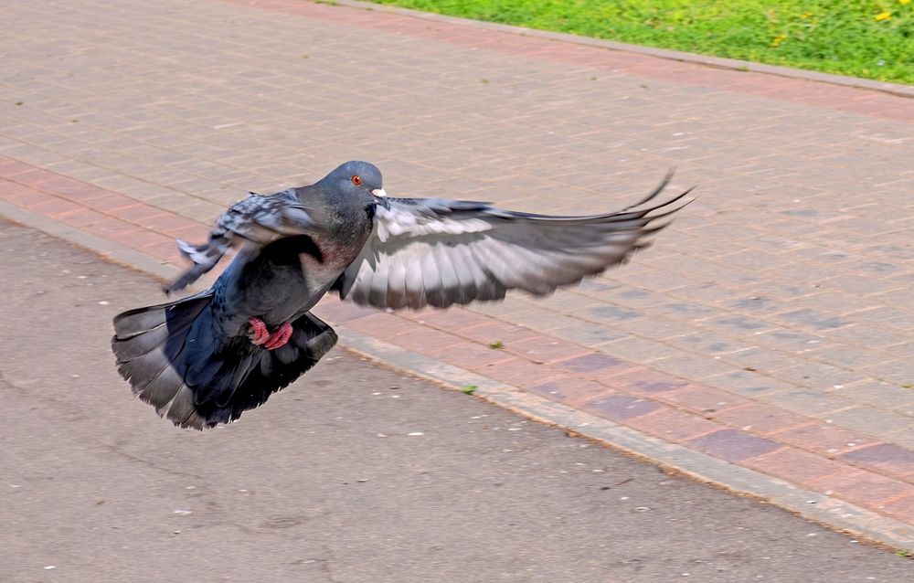 Photograph by Василиса