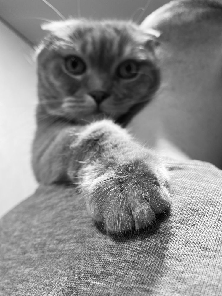 Photograph by Оксана Афанасьева