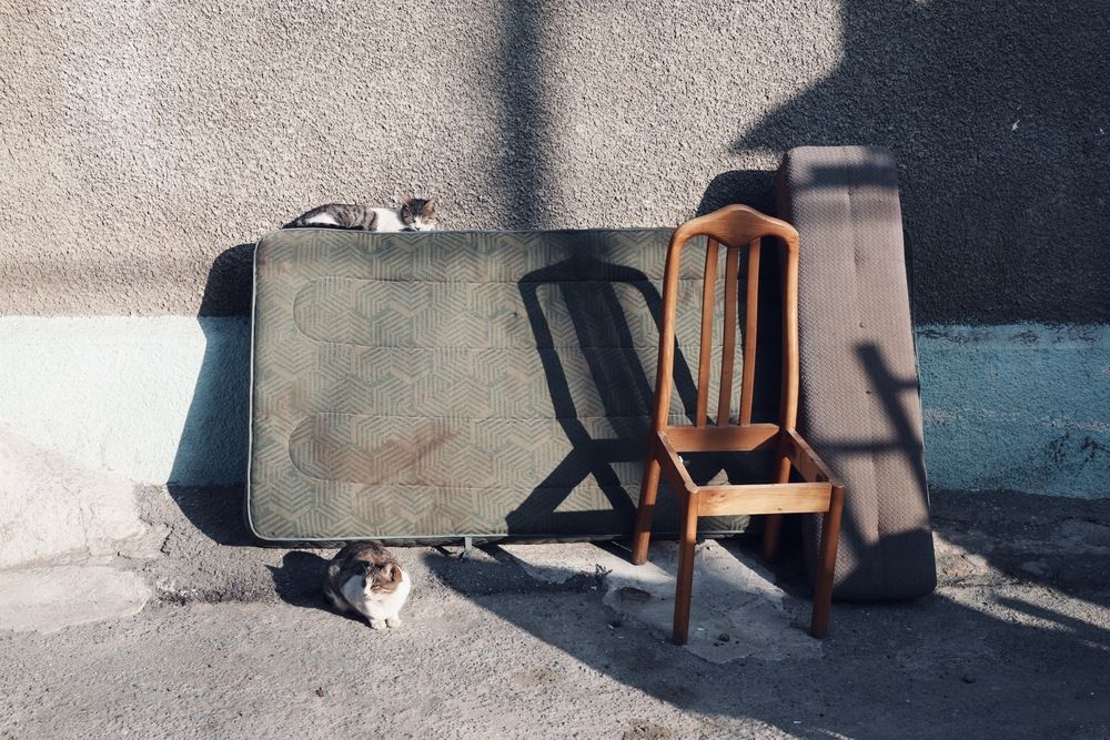 Photograph by Oksana Sokolova