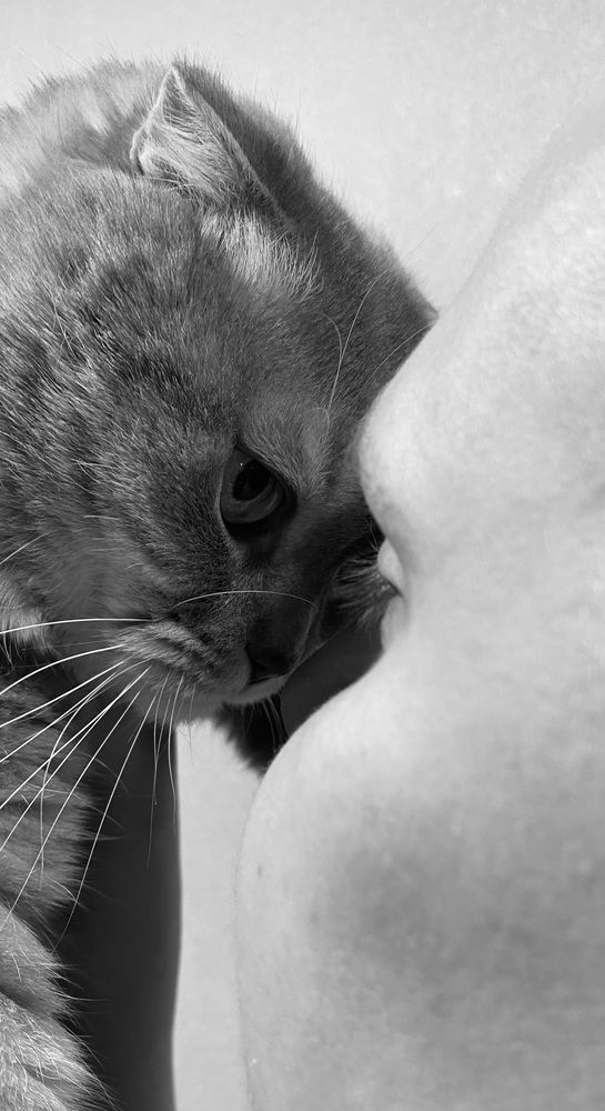 Photograph by Оксана Афанасьева