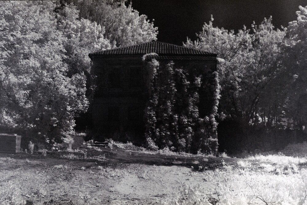 Photograph by Геннадий Балабонов
