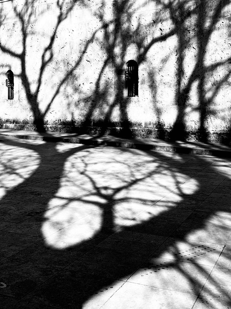 Photograph by Oksana Sokolova