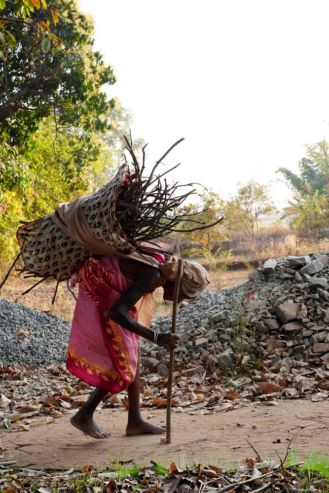 Indomitable Spirit: A Portrait of Resilience