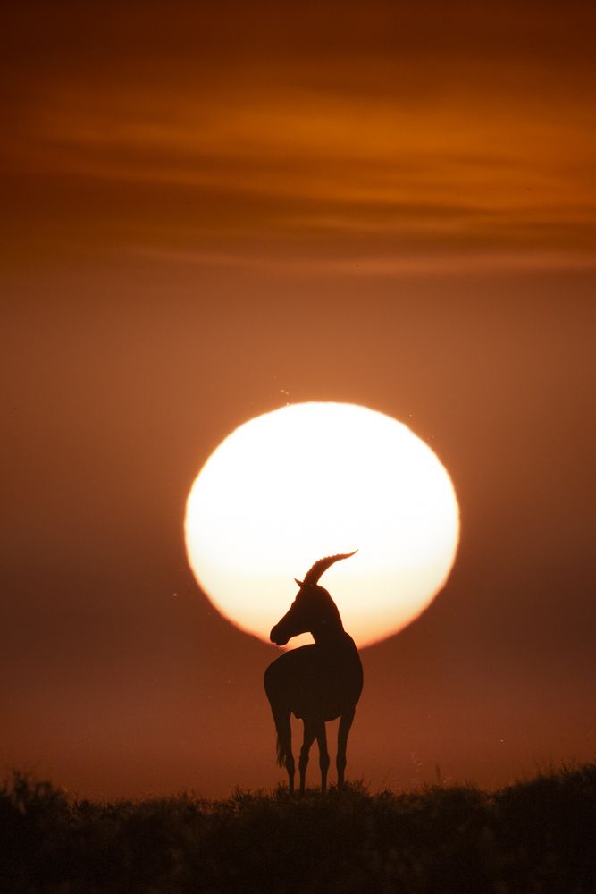 Photograph by Nicolas Cao