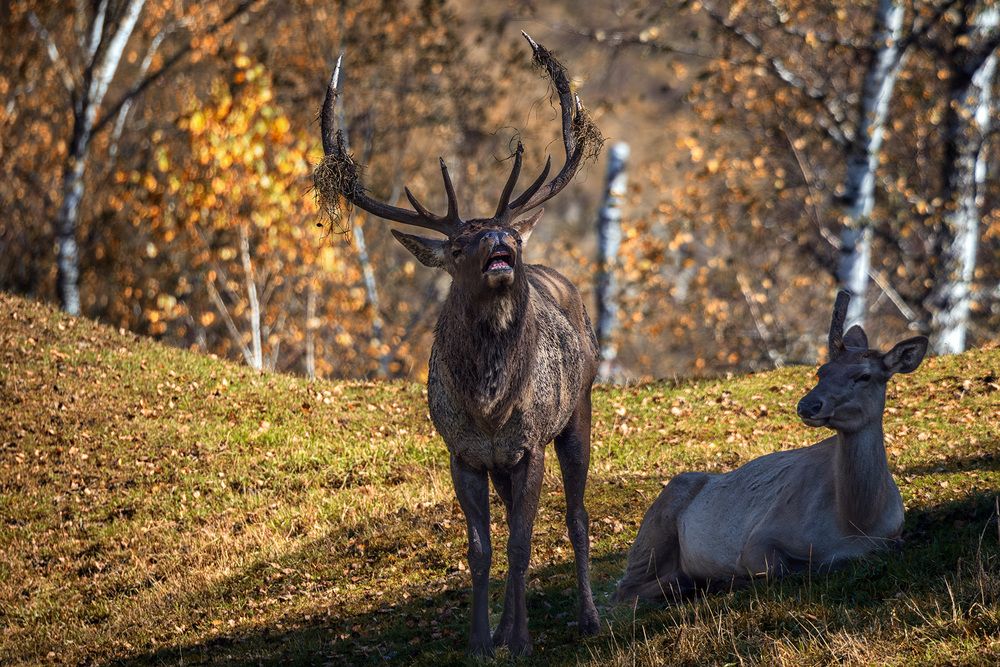Photograph by Бодрягин Виталий