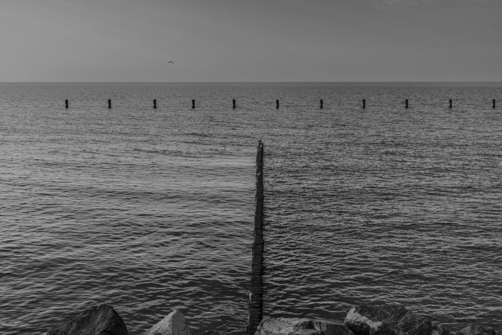 Photograph by Алексей Кузьмин