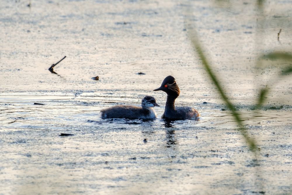 Photograph by Бодрягин Виталий