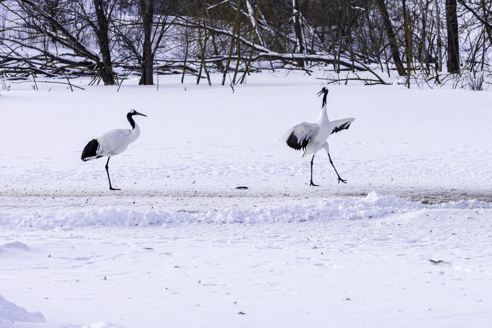 Photograph by Алексей Кузьмин