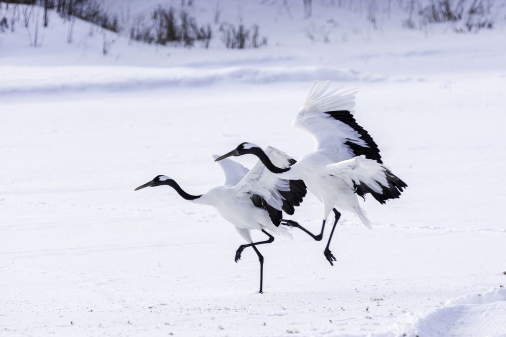 Photograph by Алексей Кузьмин
