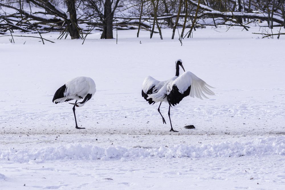 Photograph by Алексей Кузьмин