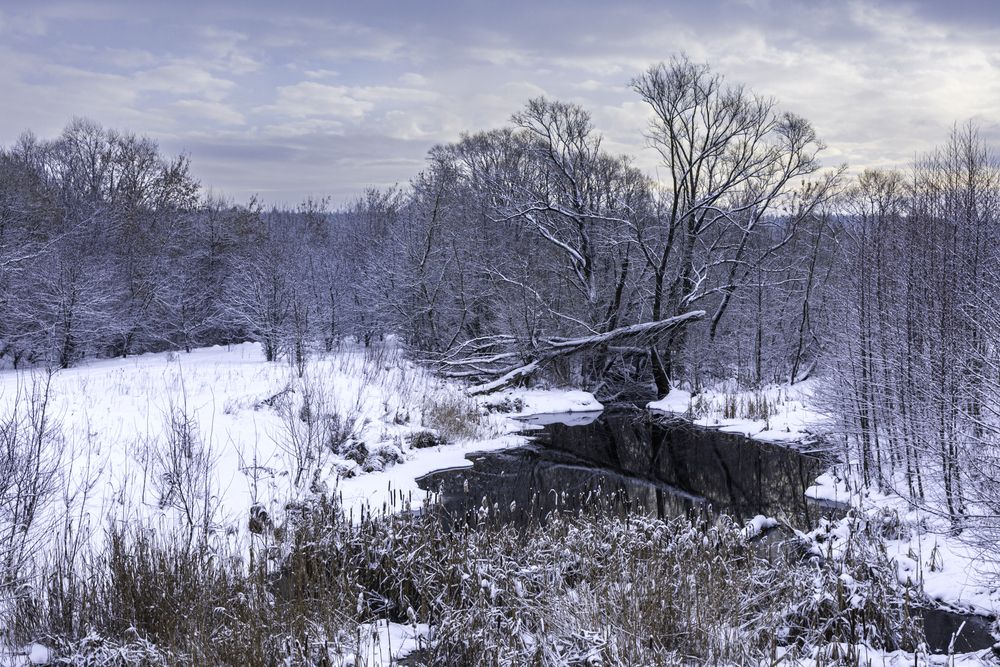 Photograph by Алексей Кузьмин