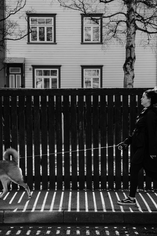 Фотография автора Nikolay Surovtsev