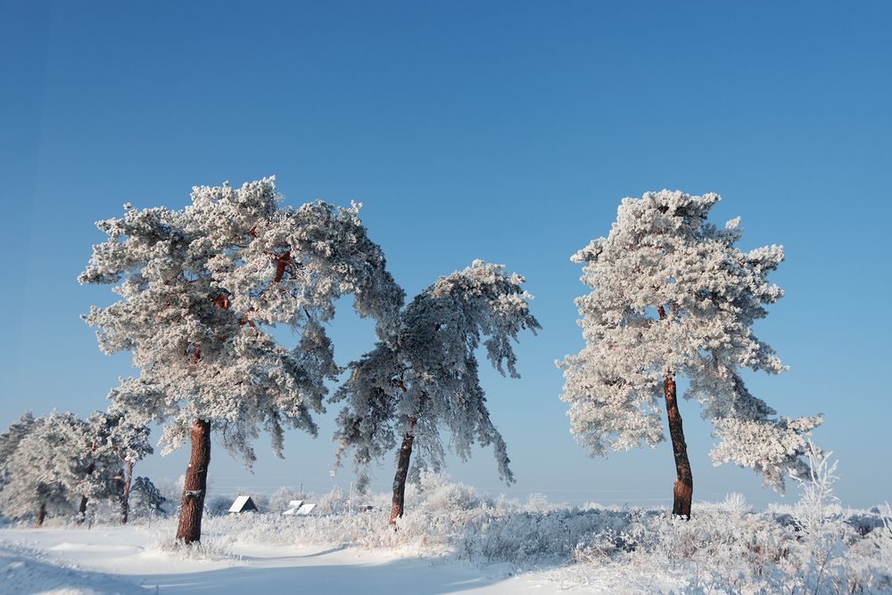 За городом