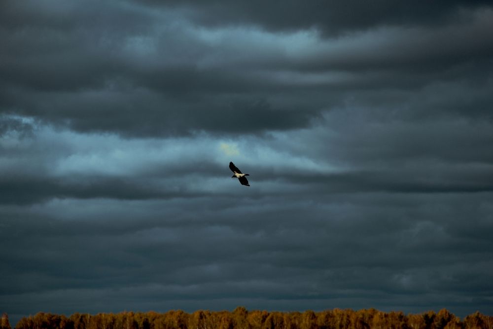 Photograph by Игорь Герасимов
