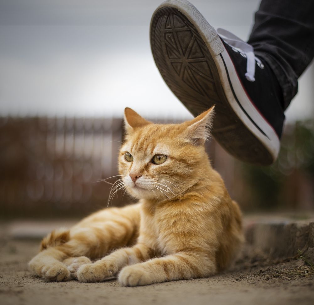 Photograph by Gaudi Matei