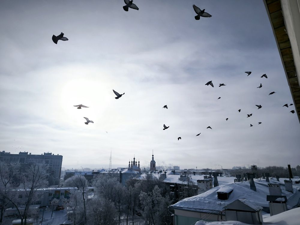 Photograph by Денис Соломачев