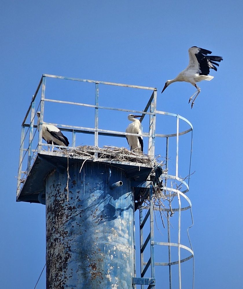 Photograph by Пирог Борис