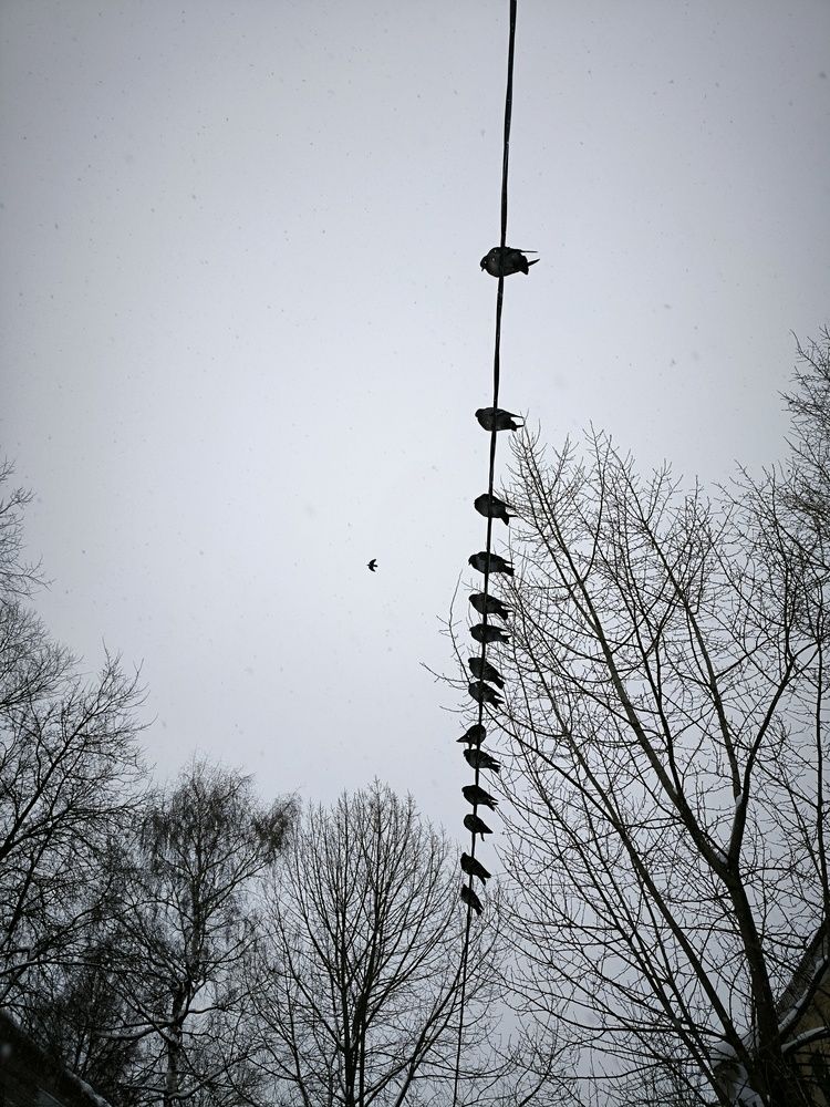 Photograph by Денис Соломачев