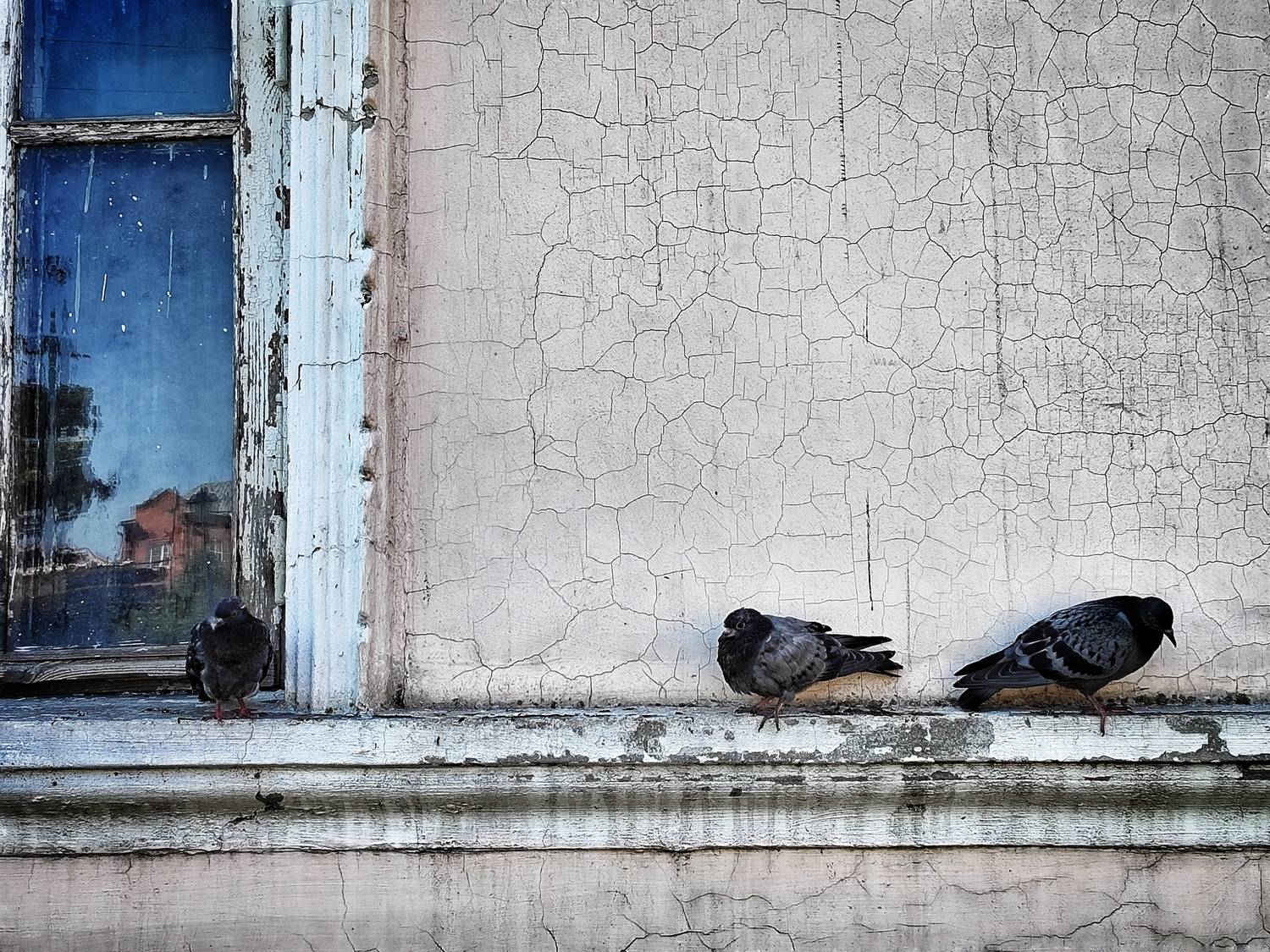 Отдыхают Отдыхают