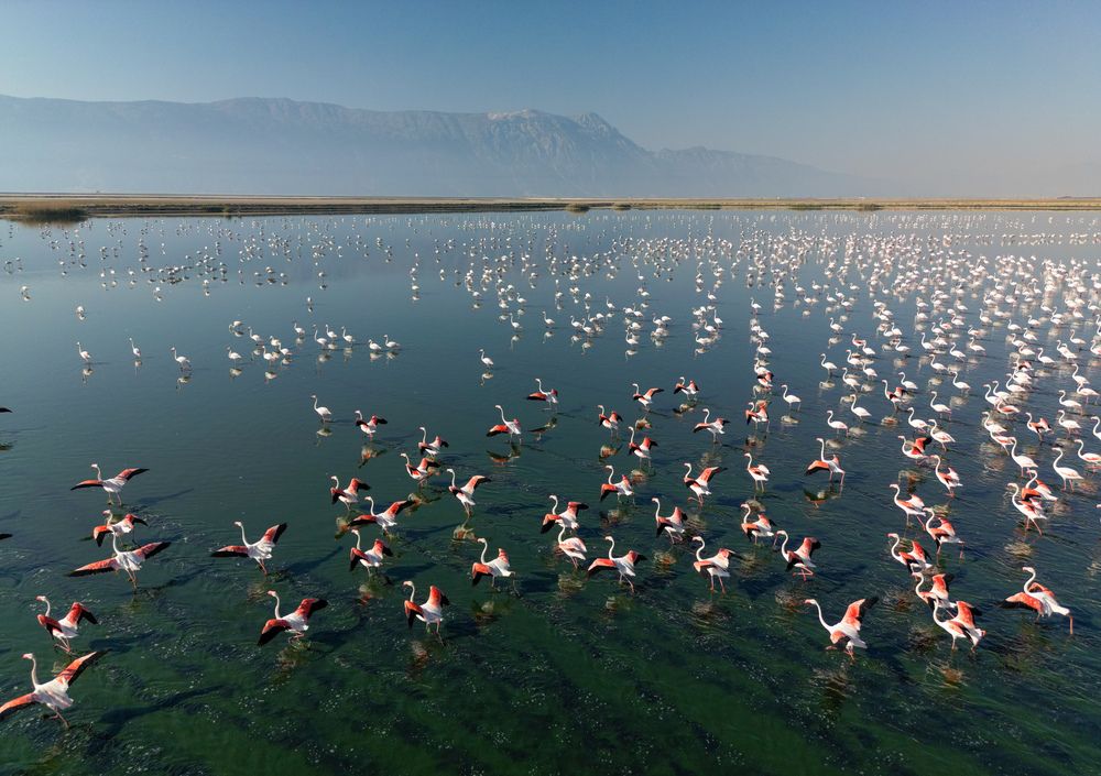 Photograph by Yakup Temel