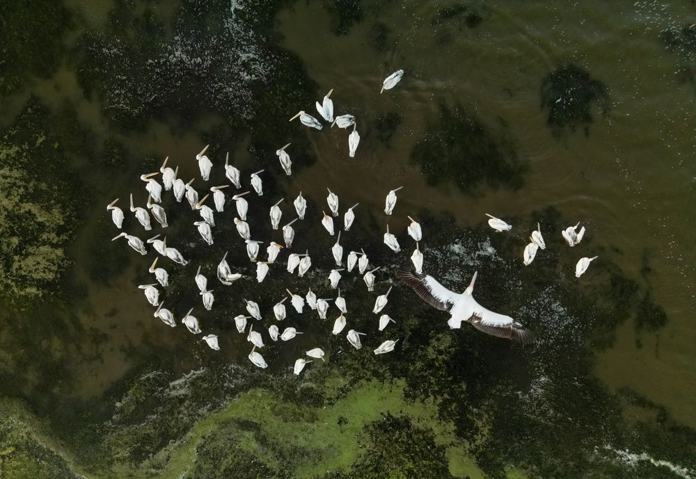 Photograph by Yakup Temel