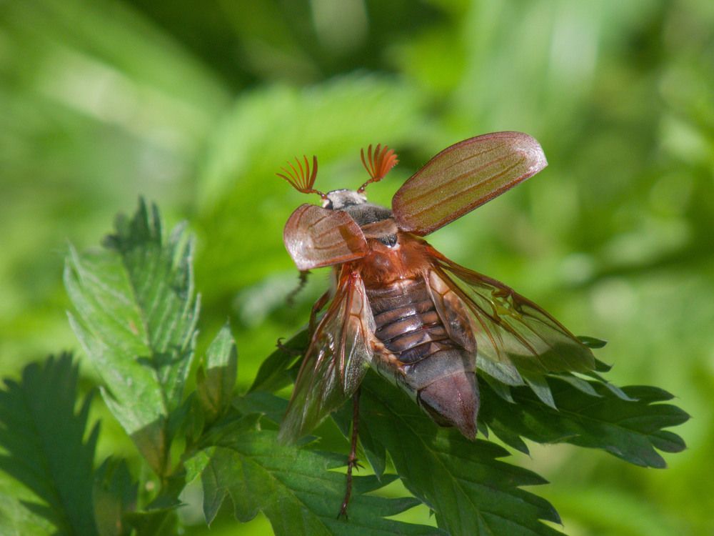 Photograph by Кондрашова Светлана