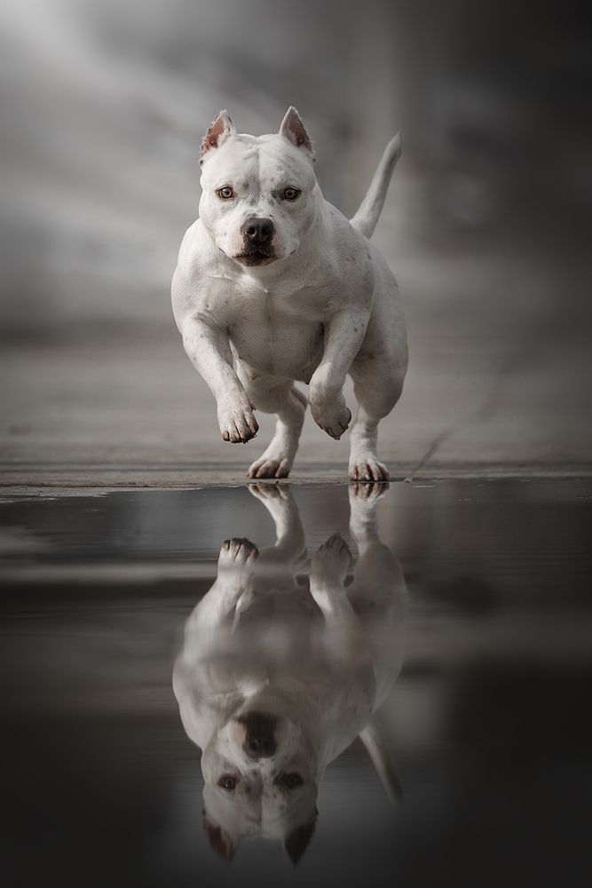 Photograph by Ольга Легенькая