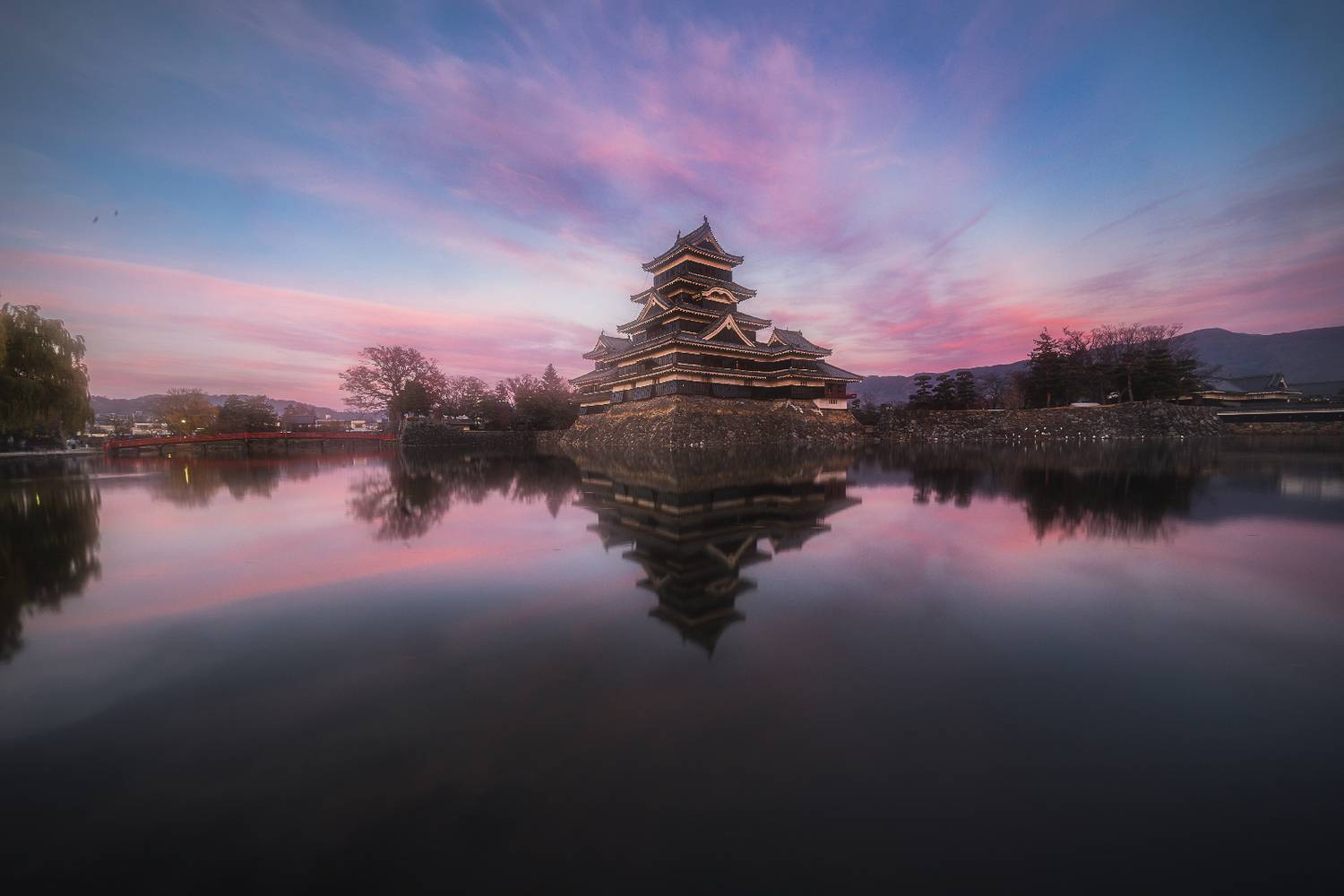 Фотография #13313412