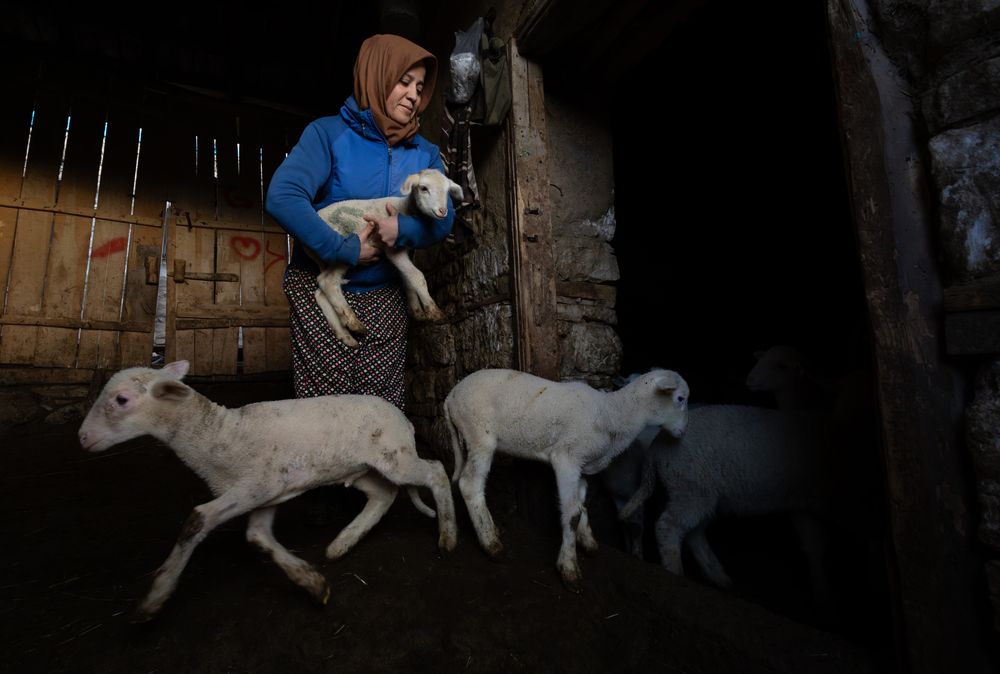 Photograph by Yakup Temel