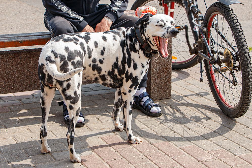 Photograph by Надежда Хрусталёва