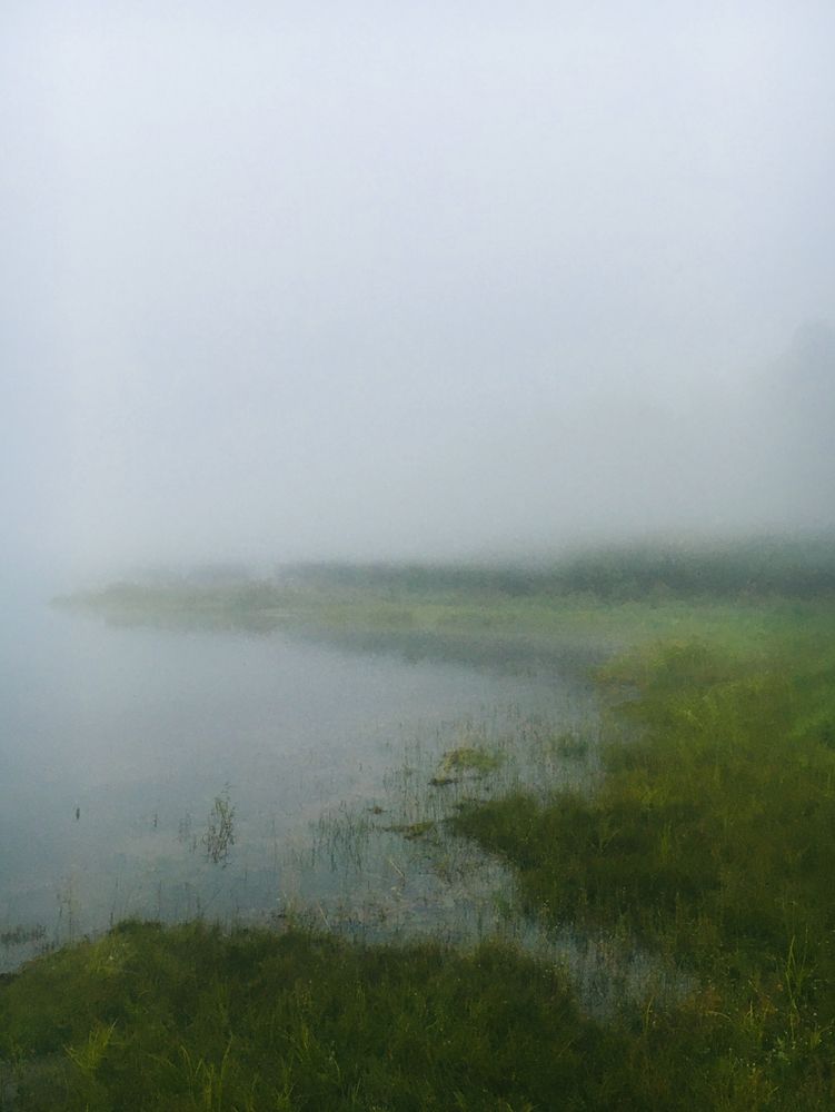 Фотография автора Кристина