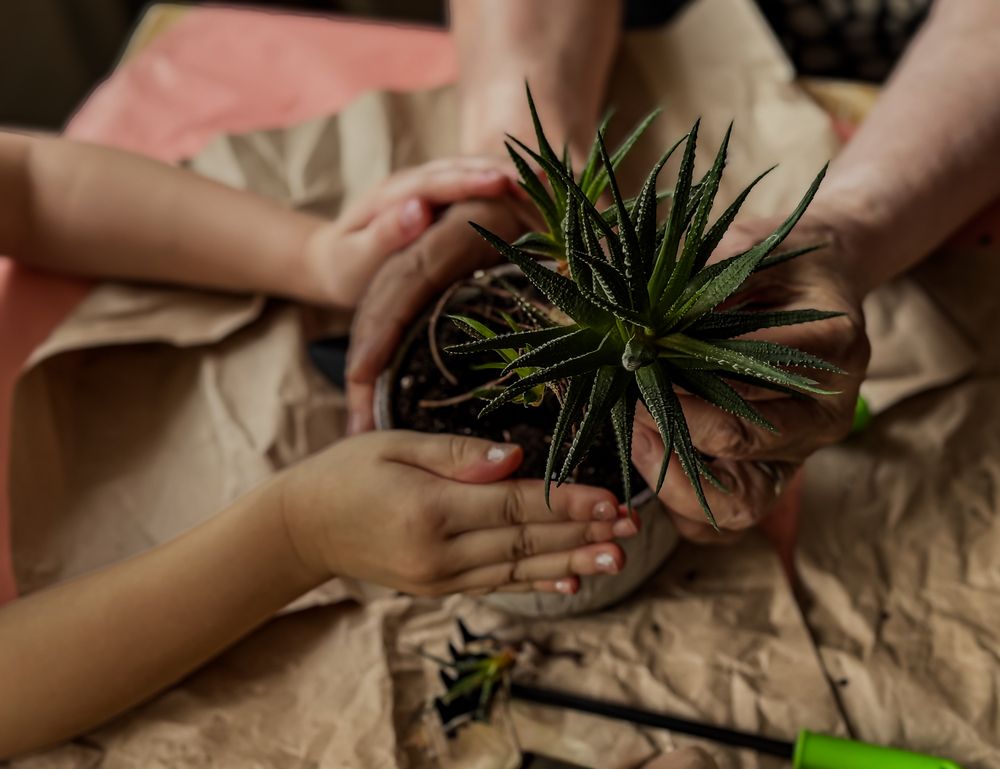 Photograph by Марина Мишутина