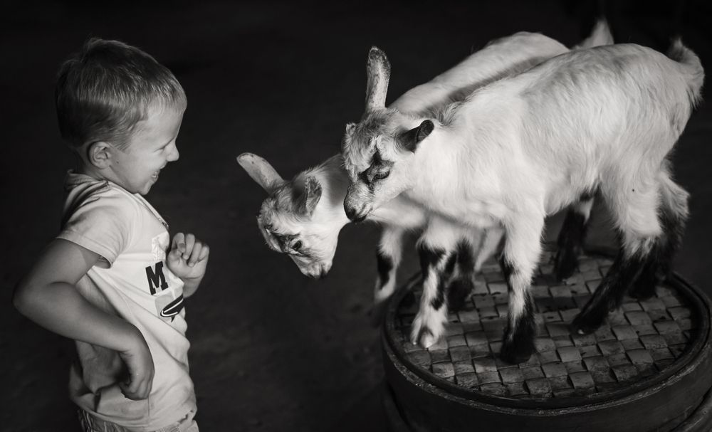 Photograph by Пирог Борис