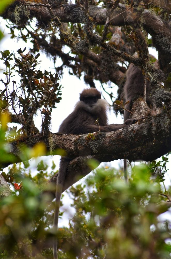 Photograph by Thilakshan Dananja