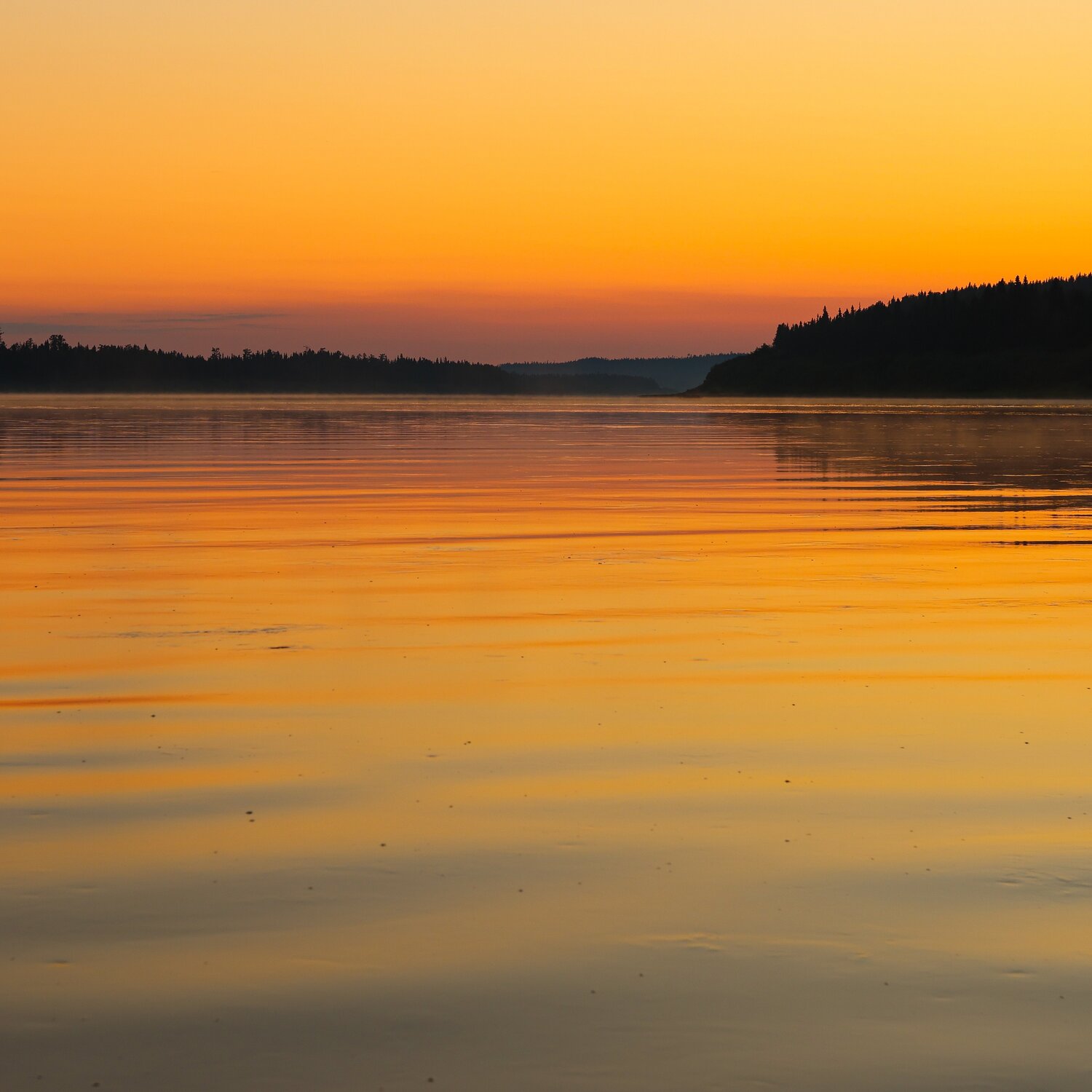 Photo #13313618
