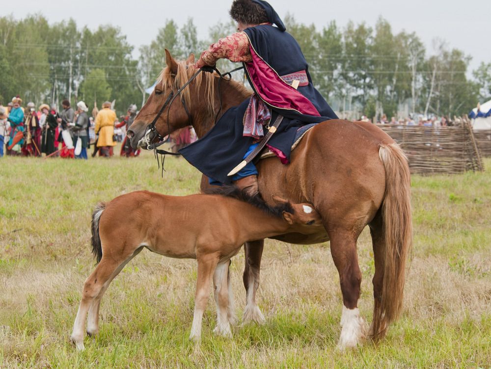 Война войной, а обед по распорядку